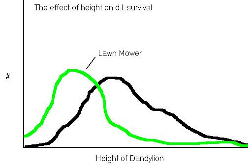 an analysis of the natural selection to survival of the fittest Darwin and natural selection darwin came to describe this process as the survival of the fittest analysis of 13h century. an analysis of the natural selection to survival of the fittest Darwin and natural selection darwin came to describe this process as the survival of the fittest analysis of 13h century.